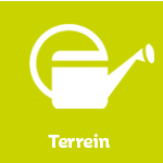 Terrein