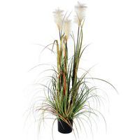 Herbe de vulpin 120cm - Vepabins