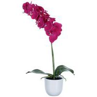 Phalaenopsis orchidée 60 cm - Vepabins