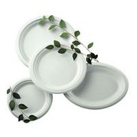 Assiette en carton micro-ondable