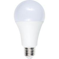 Ampoule LED standard A70 E27 12W non-dimmable opale - SPL