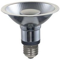 Spot LED à réflecteur E27 PAR30 et PAR38 gris dimmable - SPL