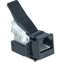 Verbindingscontact RJ45 UTP kort CAT. 6