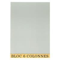 Bloc de contrôle comptable 29,7x21cm 6 col. 70 feuillets