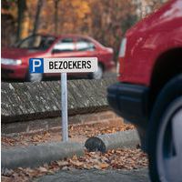 Parkeerbord Nederlands - Bezoekers