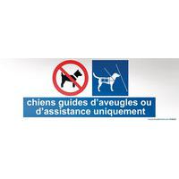 Bord CHIENS GUIDE D'AVEUGLES OU D'ASSISTANCE UNIQUEMENT