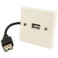 Plastron USB pour encastrement de prise Erard D3C