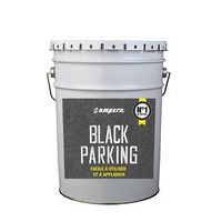 Rénovateur d'asphalte - Black Parking 25 kg - Ampere System