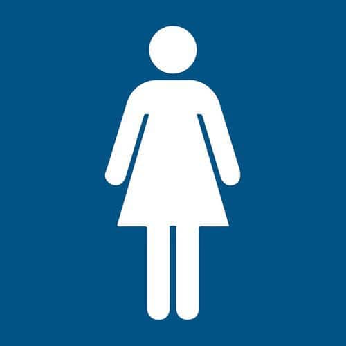 Pictogram Toilet dames