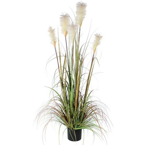 Kunstplant Pluimgras Foxtail 150cm - Vepabins