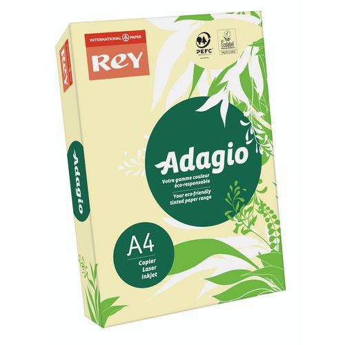 Ramette Adagio 500 feuilles - 80 g - Couleurs Pastels - Rey