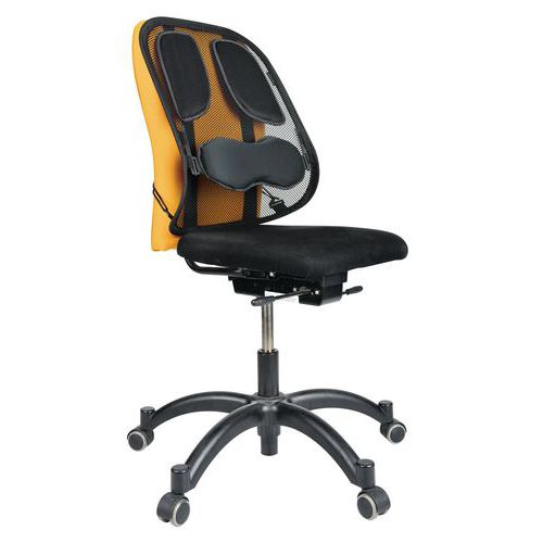 Support dorsal ergonomique en résille - Fellowes