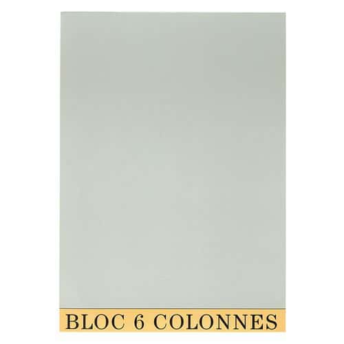 Bloc de contrôle comptable 29,7x21cm 6 col. 70 feuillets