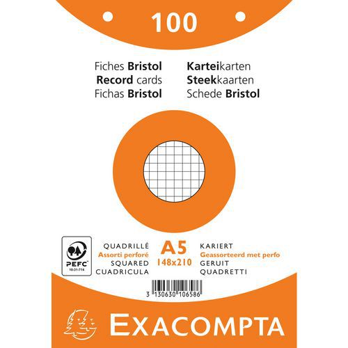 Steekkaart bristol ruit 5x5 geperforeerd 148x210mm Exacompta