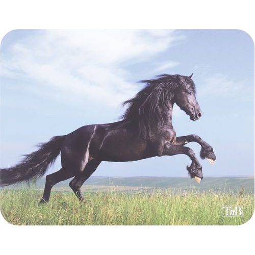 Tapis de souris illustre Horses - TNB