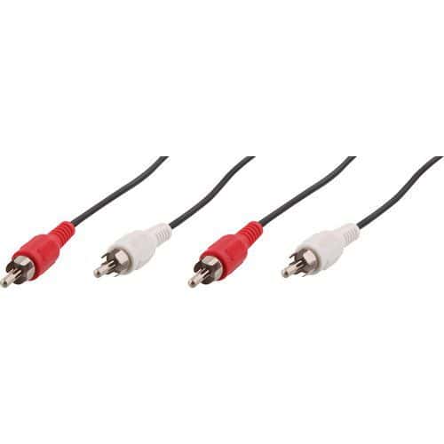 Kabel 2 RCA mannelijk naar 2 RCA mannelijk - T'nB