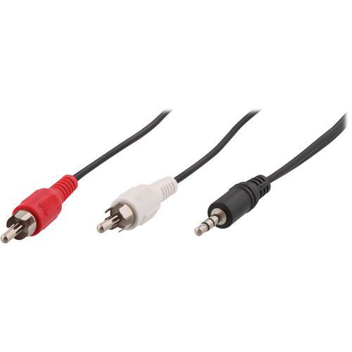 Kabel jack 3,5 mm mannelijk naar 2 RCA mannelijk op starter - T'nB