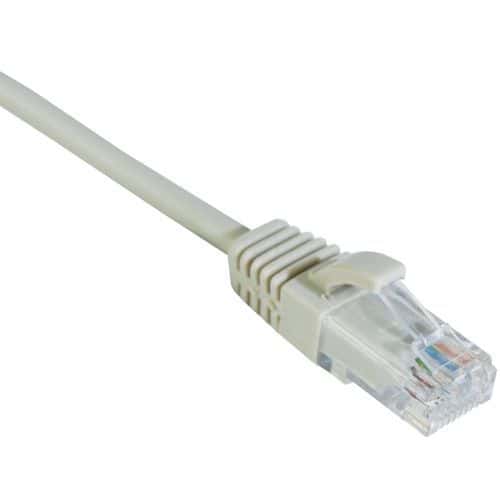 Cordon RJ45 catégorie 6 U/UTP LSOH snagless - DEXLAN