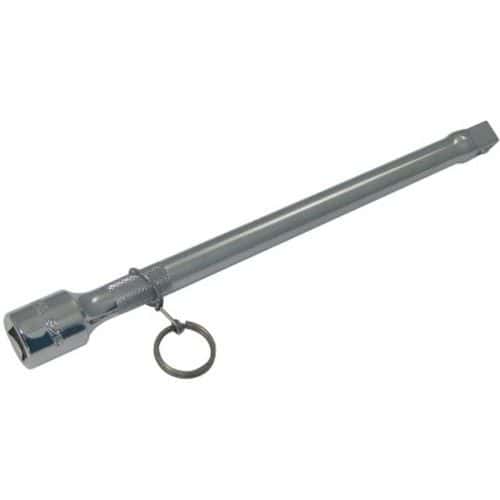 Rallonge 1/2'' 250 mm avec clip inox fme