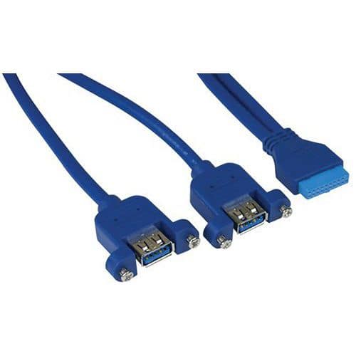 Câble USB 3.0 2 ports monté sur panneau