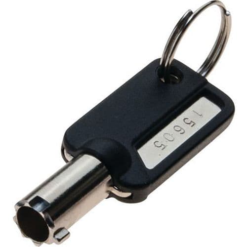 Clé pass pour antivol Dell Wedge à clé 915055