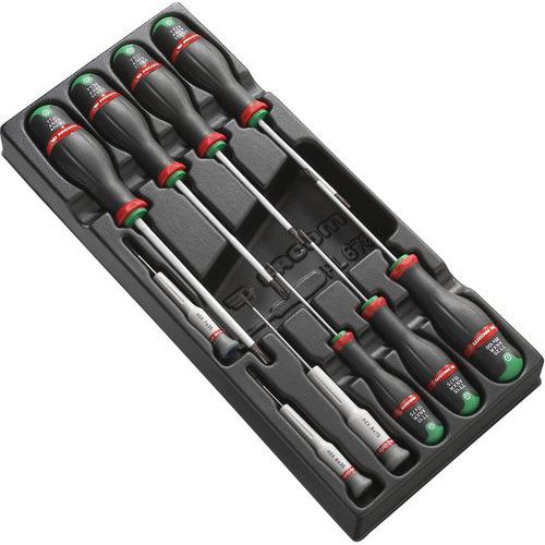 Plateau pour module XL de 10 tournevis Torx