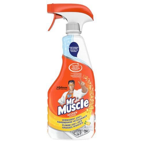 Nettoyant multi surface 750ML - Mr Muscle