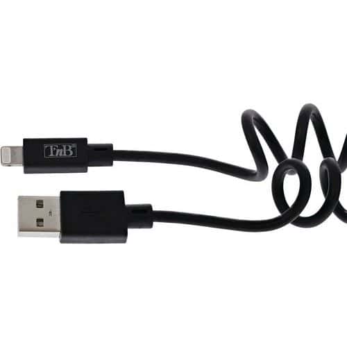 Cable USB vers Lightning torsade - TNB